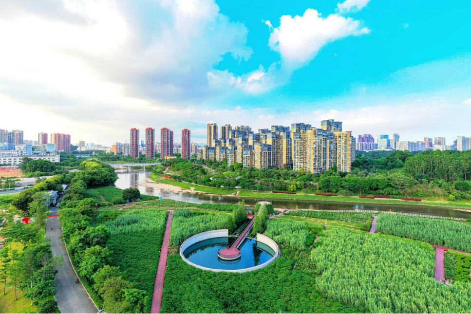 1750907870326 1750907870326